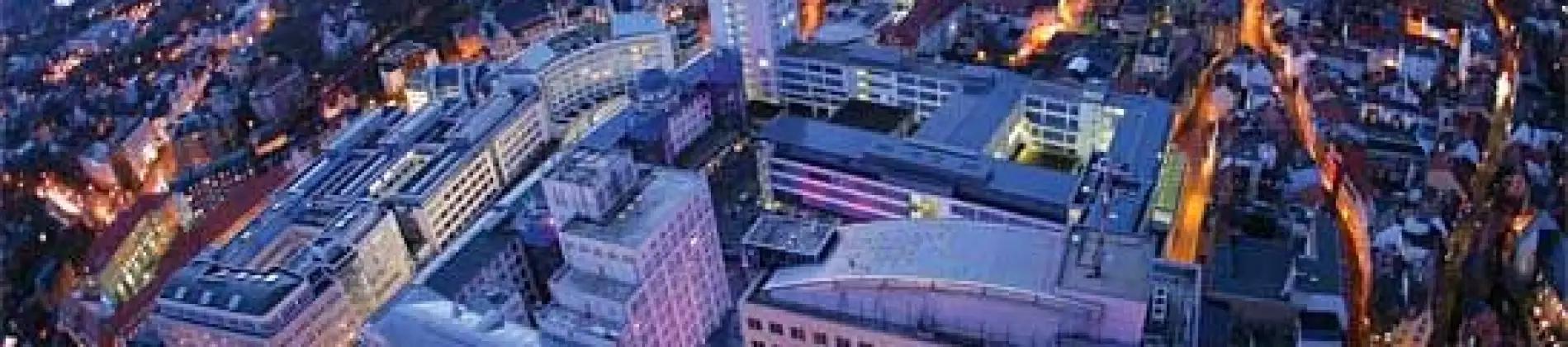 Economics and Business Administration – Focus: Business Analytics